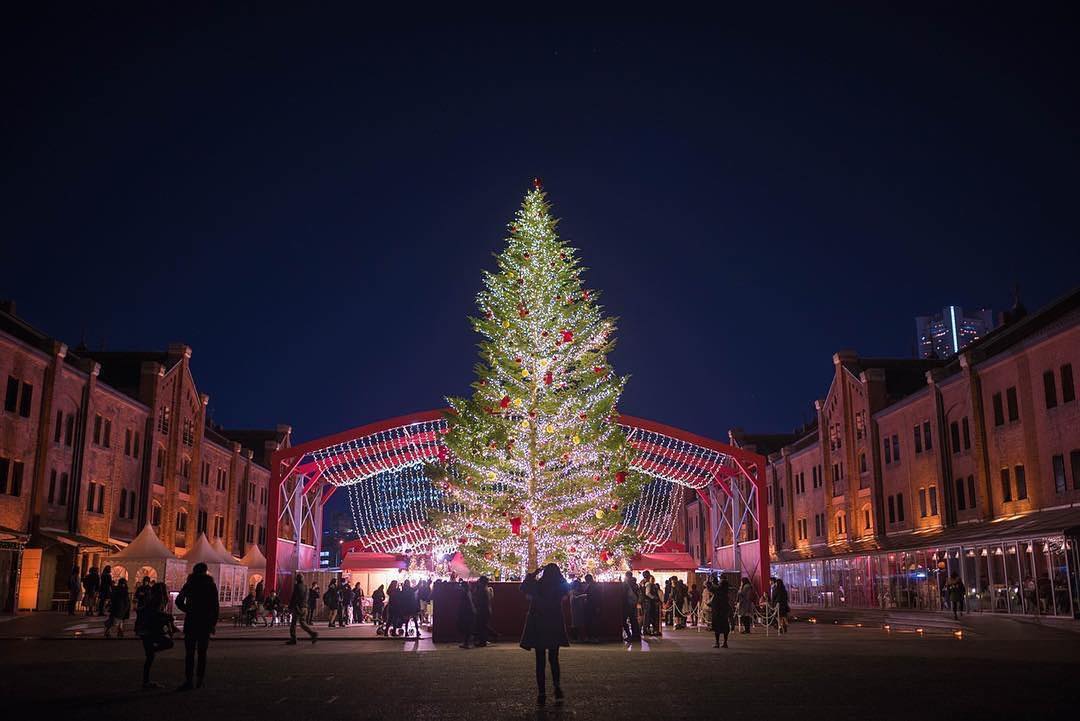 クリスマスカラーを意識したアイテムでホリデー気分を満喫しよう